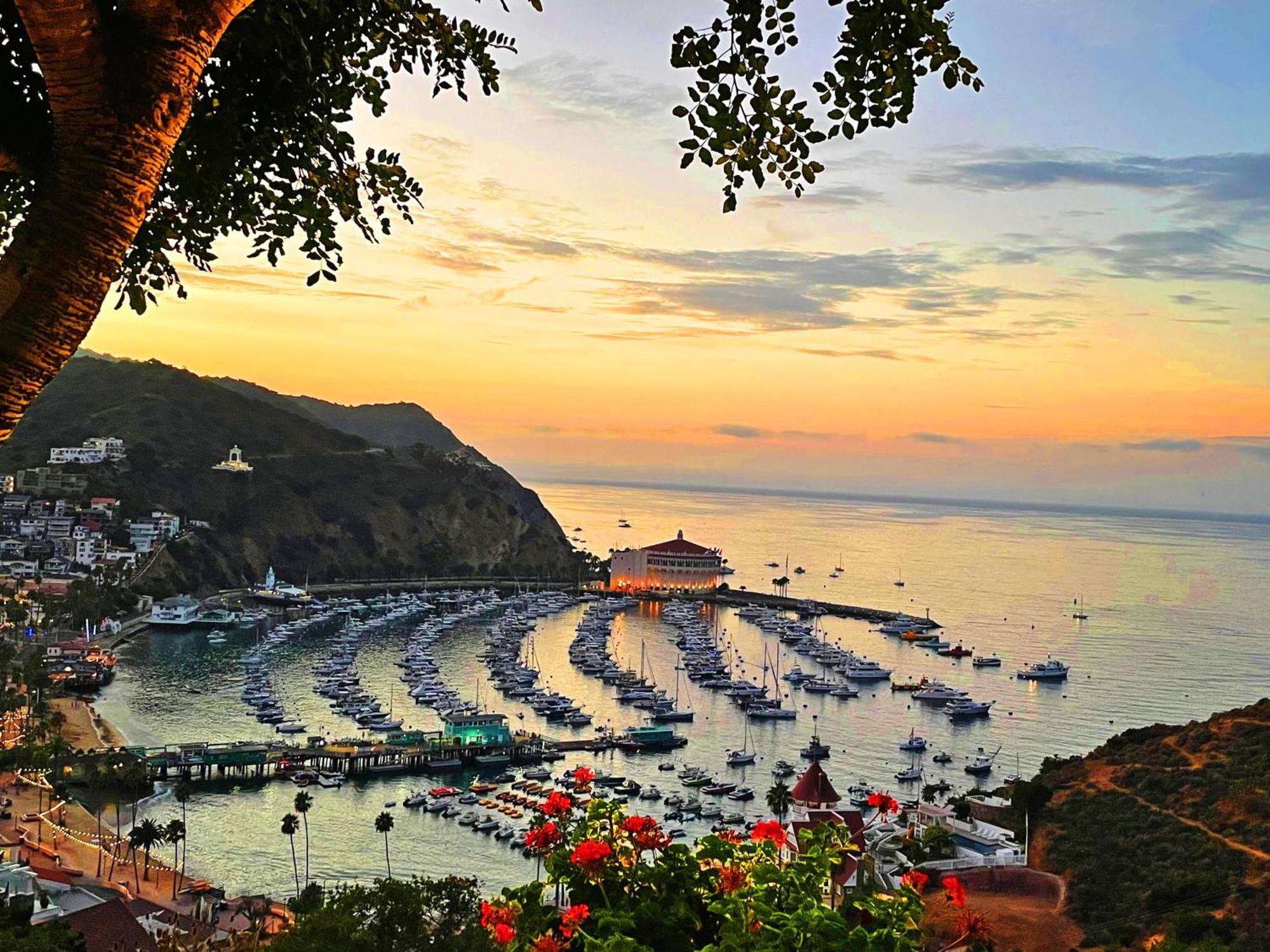 Catalina Courtyard Suites Avalon Ngoại thất bức ảnh